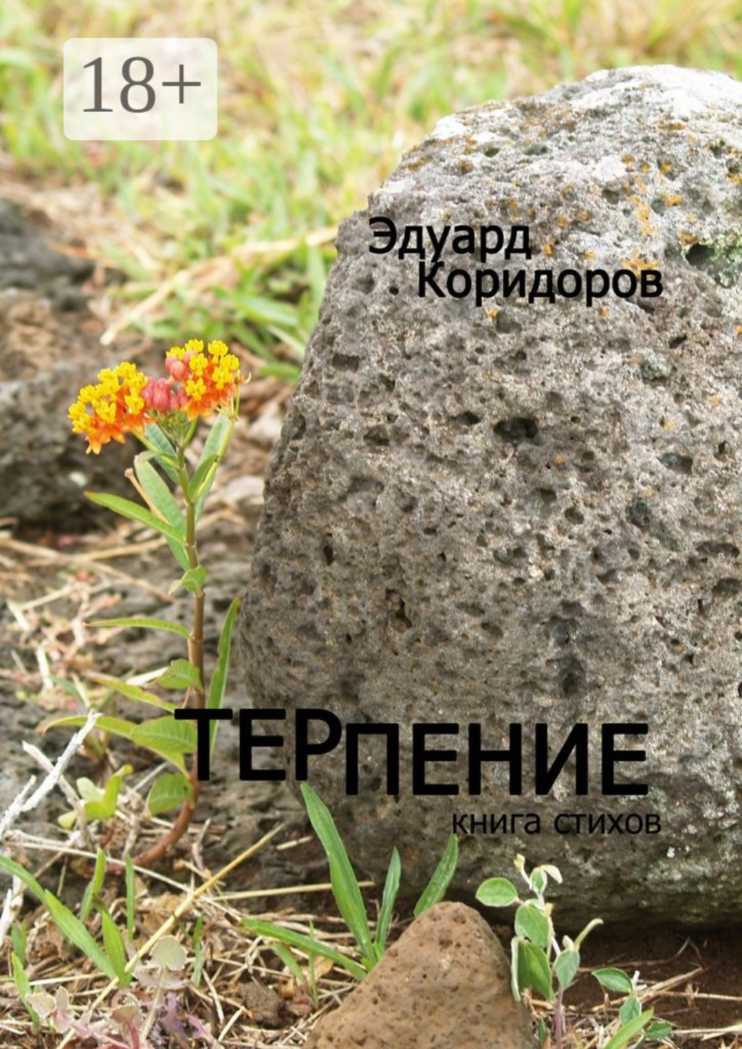 Обложка книги «Терпение. Книга стихов»