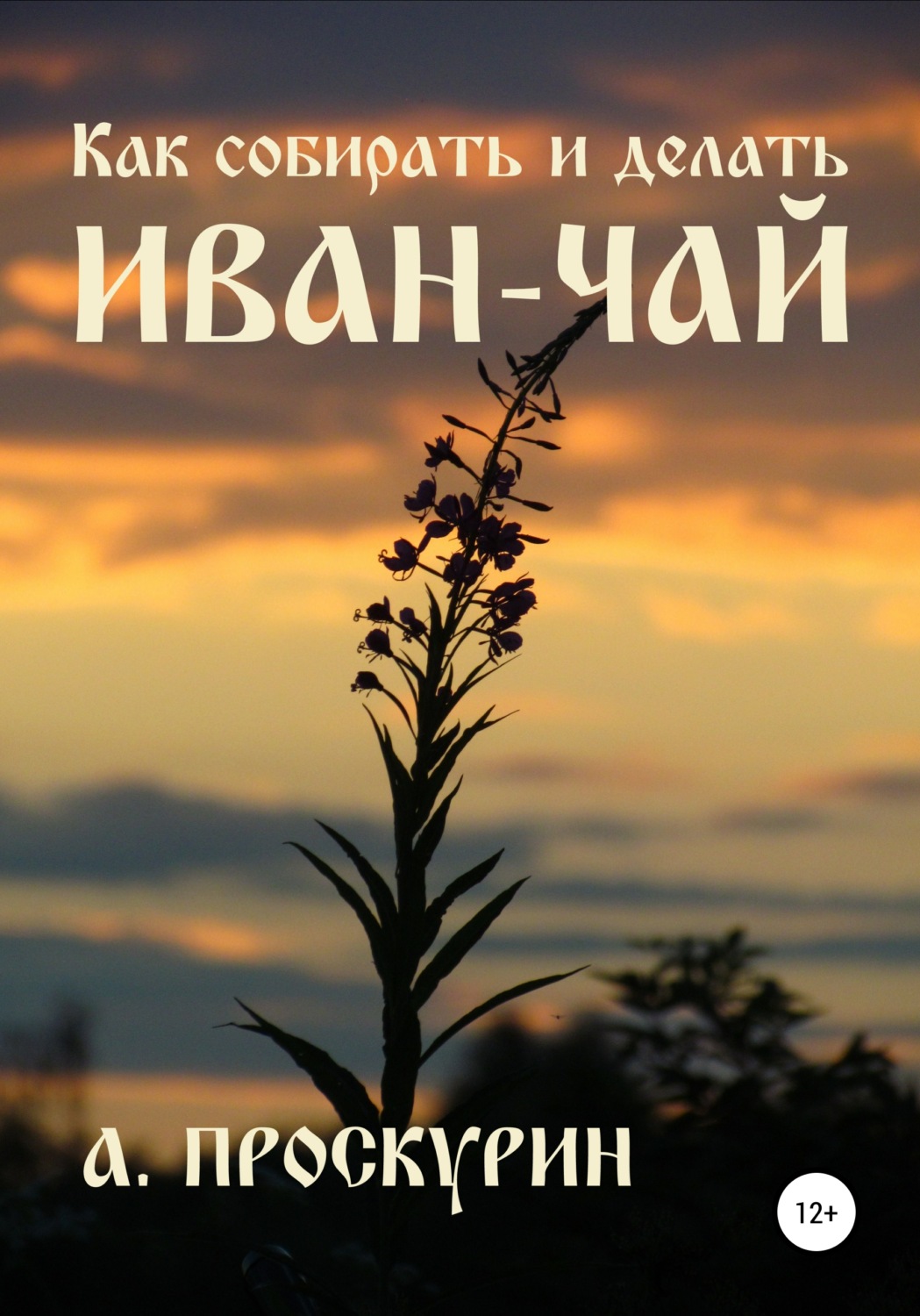 Обложка книги «Как собирать и делать иван-чай»