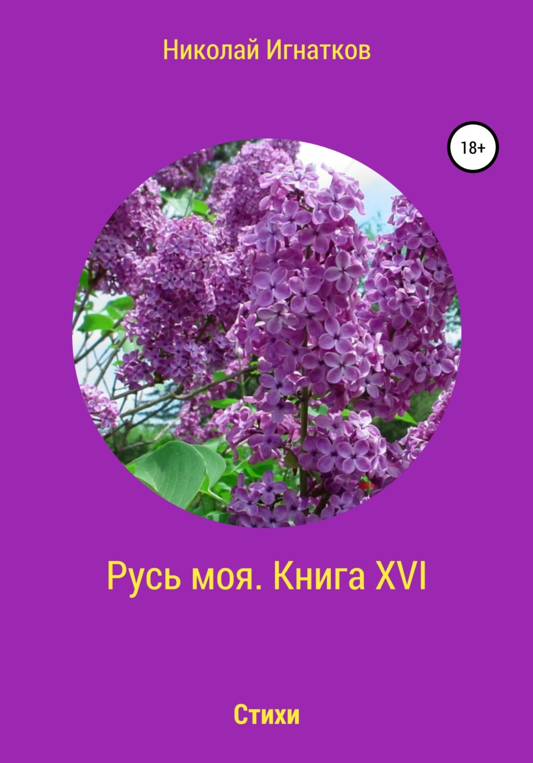 Обложка книги «Русь моя. Книга 16»