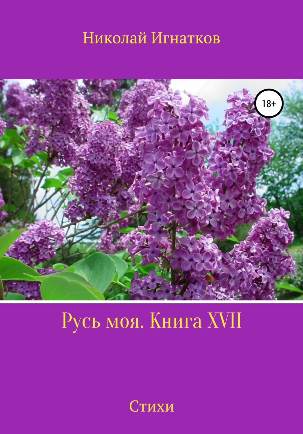 Обложка книги «Русь моя. Книга 17»
