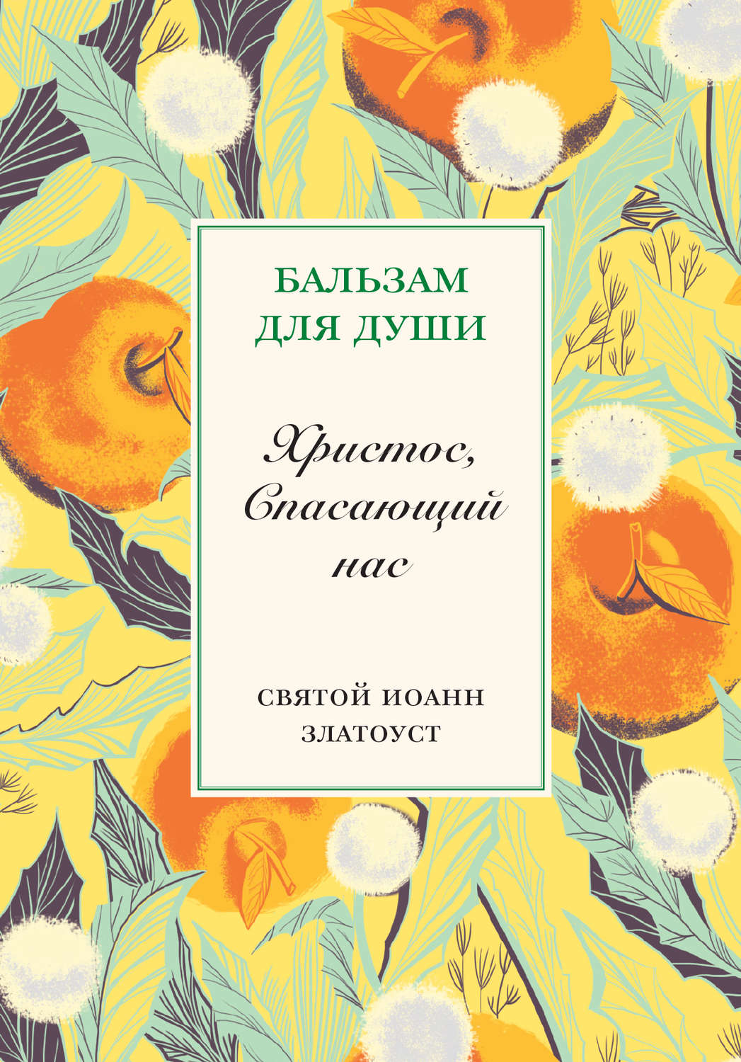 Обложка книги «Христос, спасающий нас»