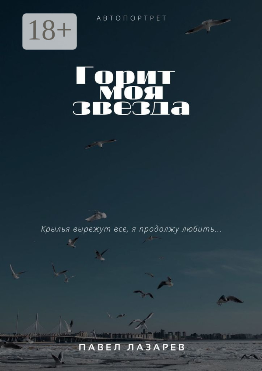 Обложка книги «Горит моя звезда»
