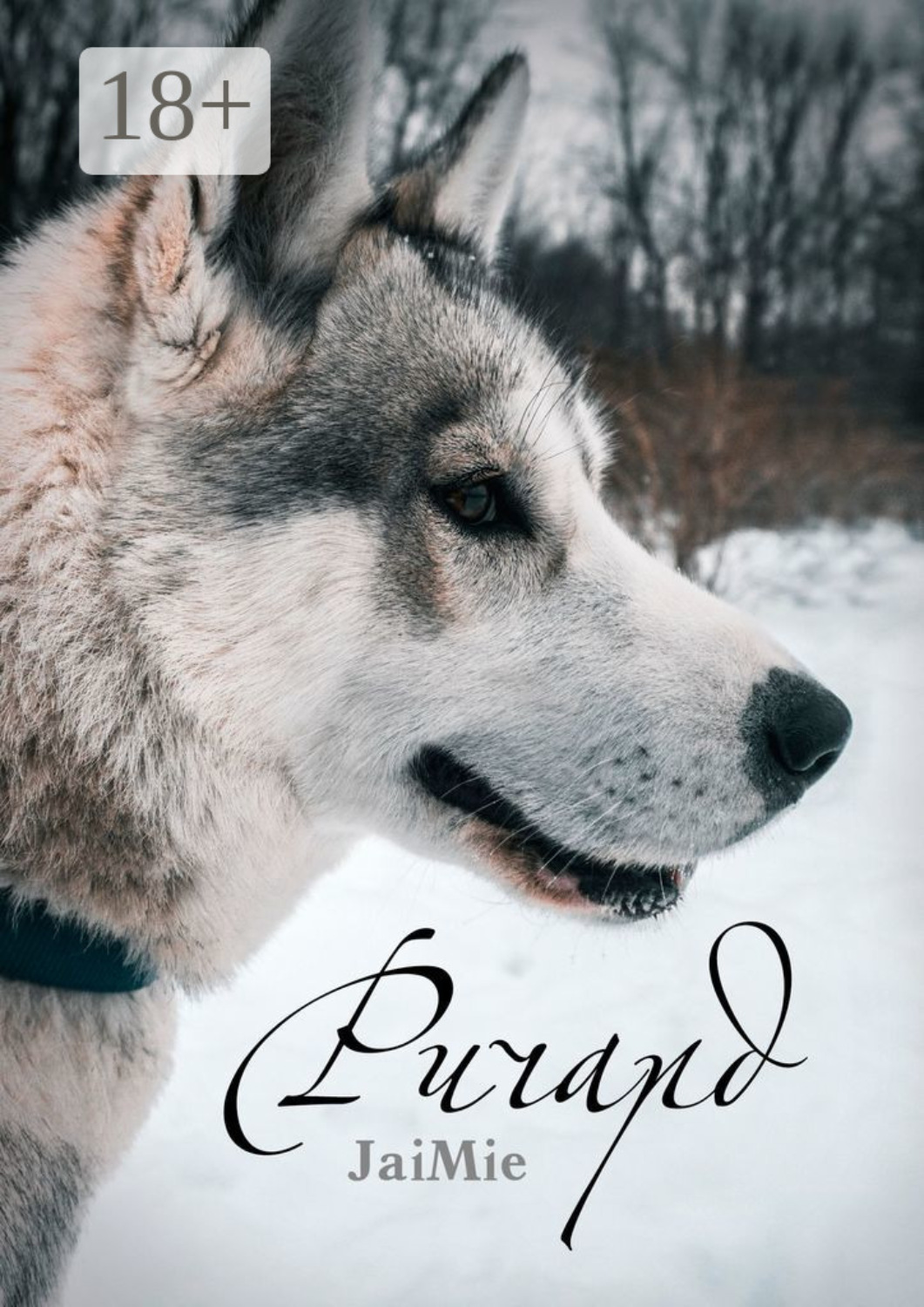 Обложка книги «Ричард»