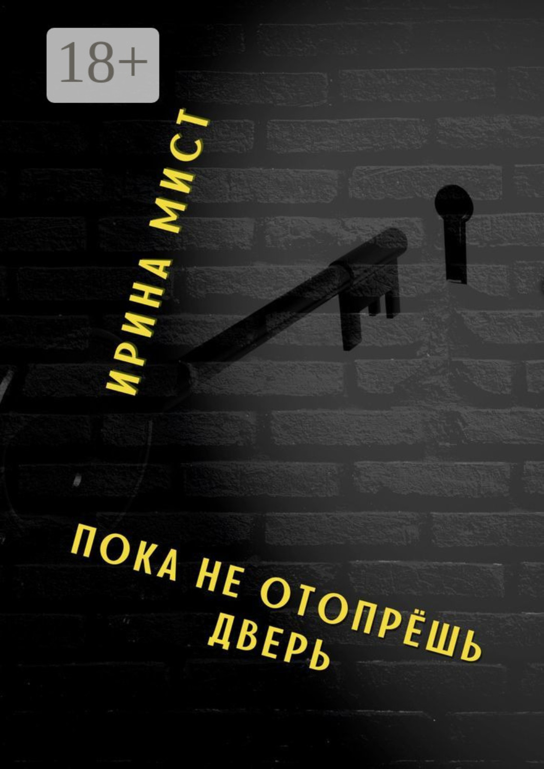 Обложка книги «Пока не отопрёшь дверь»