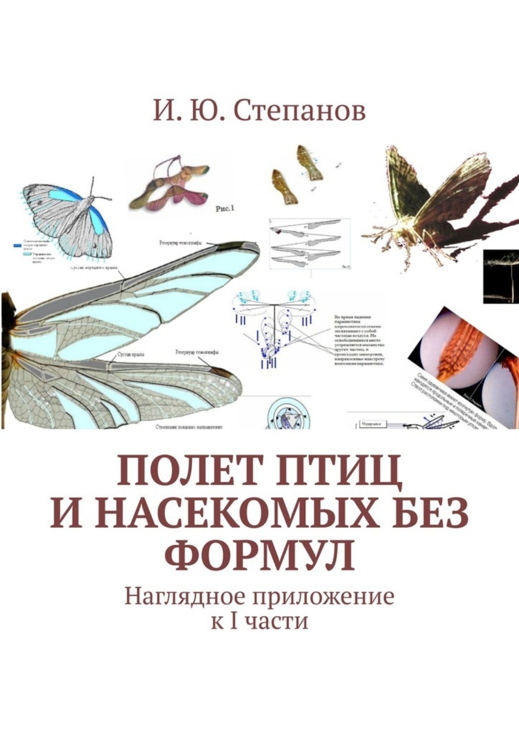 Обложка книги «Полет птиц и насекомых без формул. Наглядное приложение к I части»