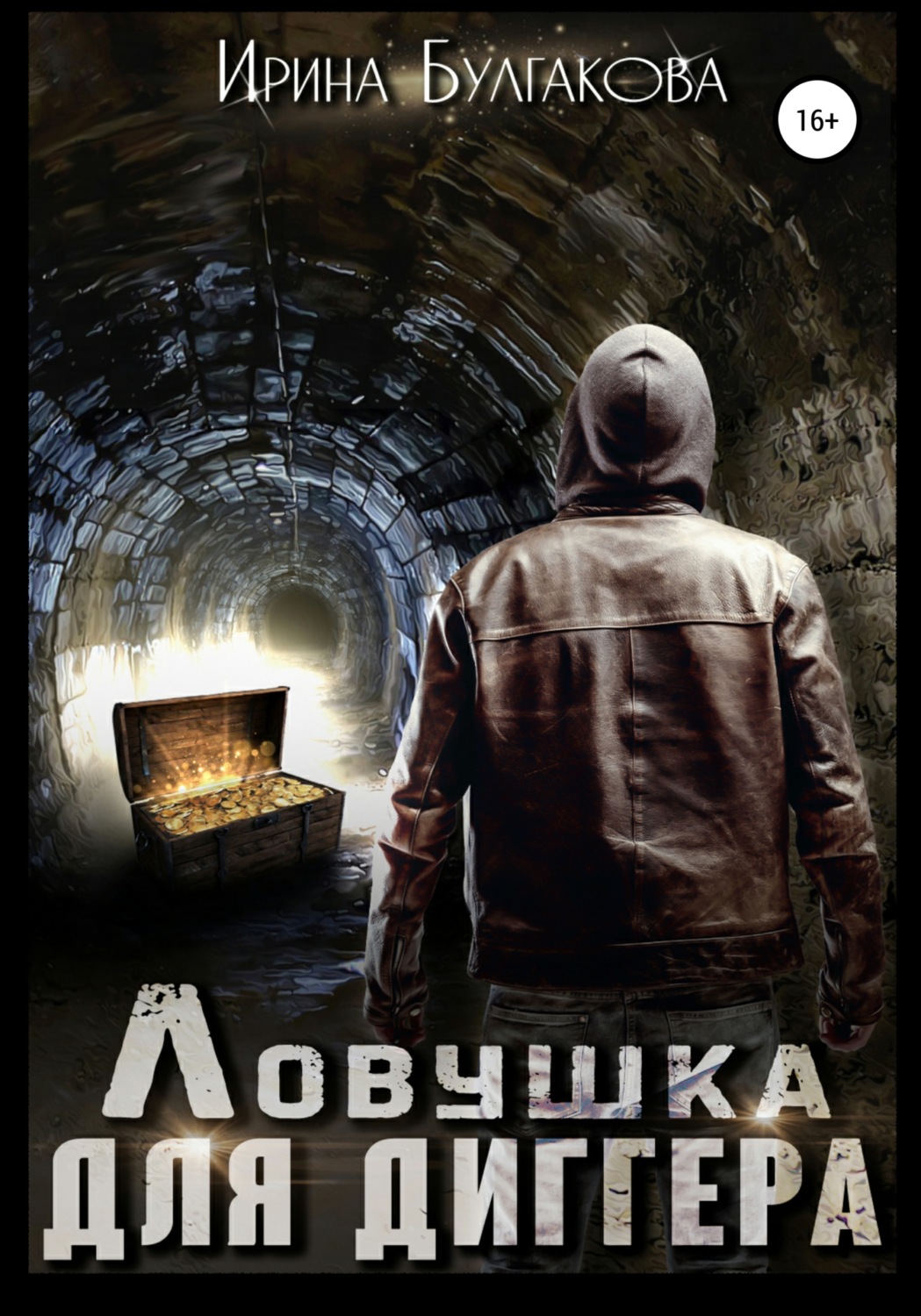 Обложка книги «Ловушка для диггера»