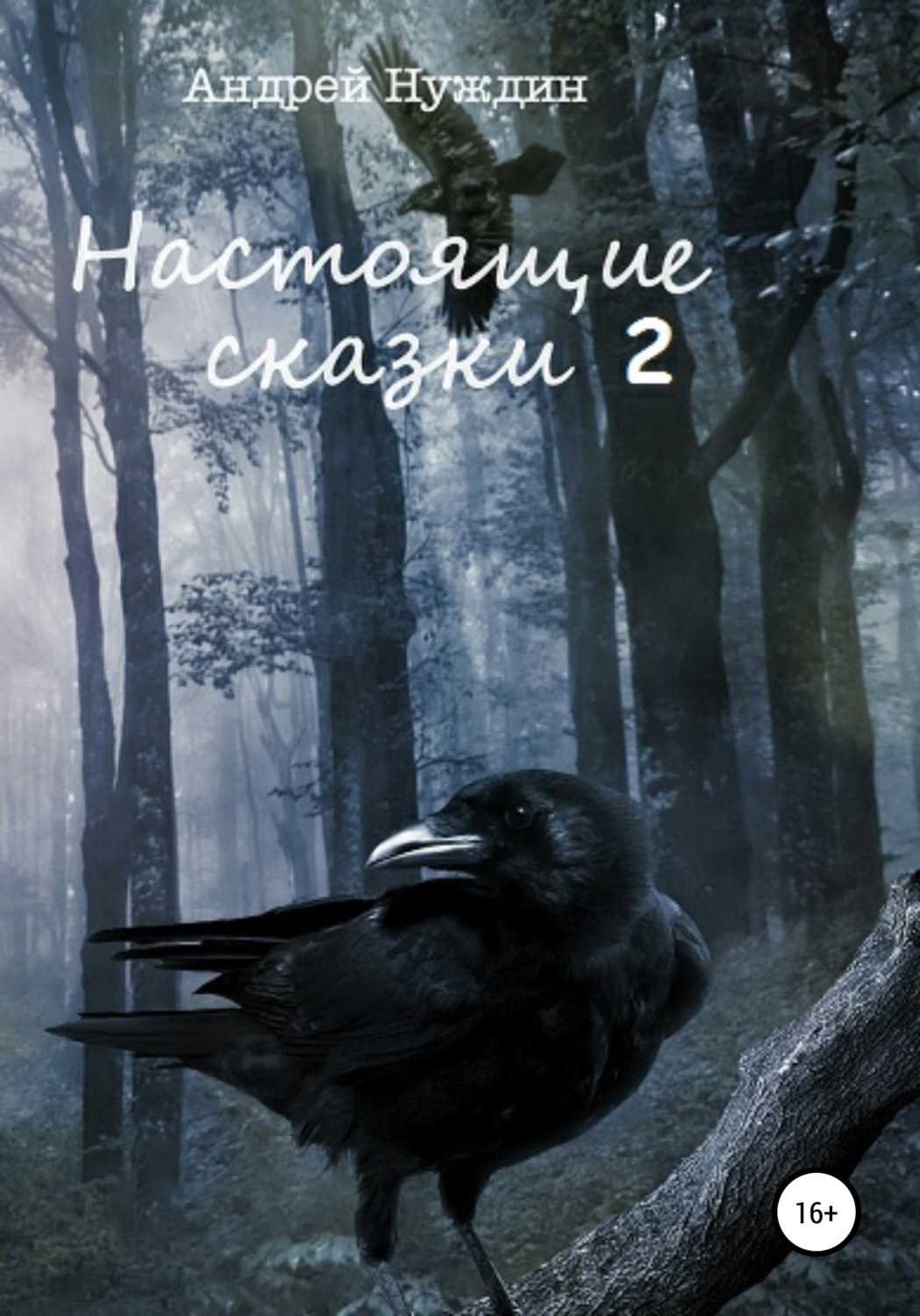 Обложка книги «Настоящие сказки 2»