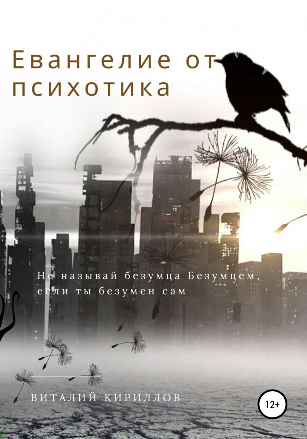 Обложка книги «Евангелие от психотика»