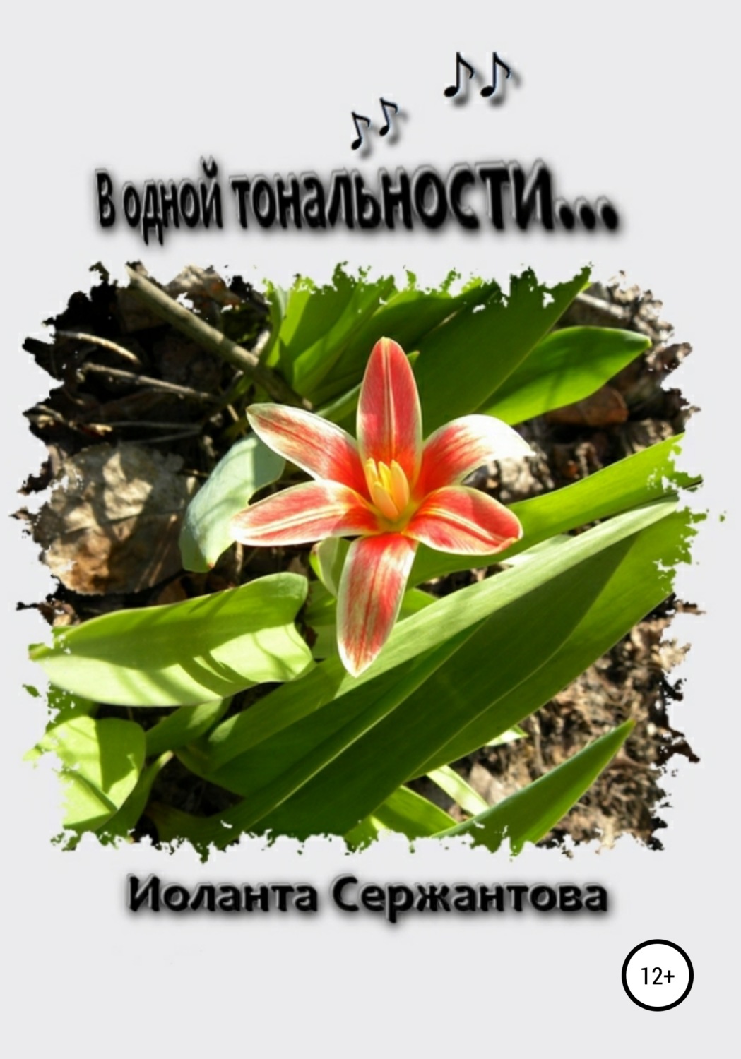 Обложка книги «В одной тональности…»