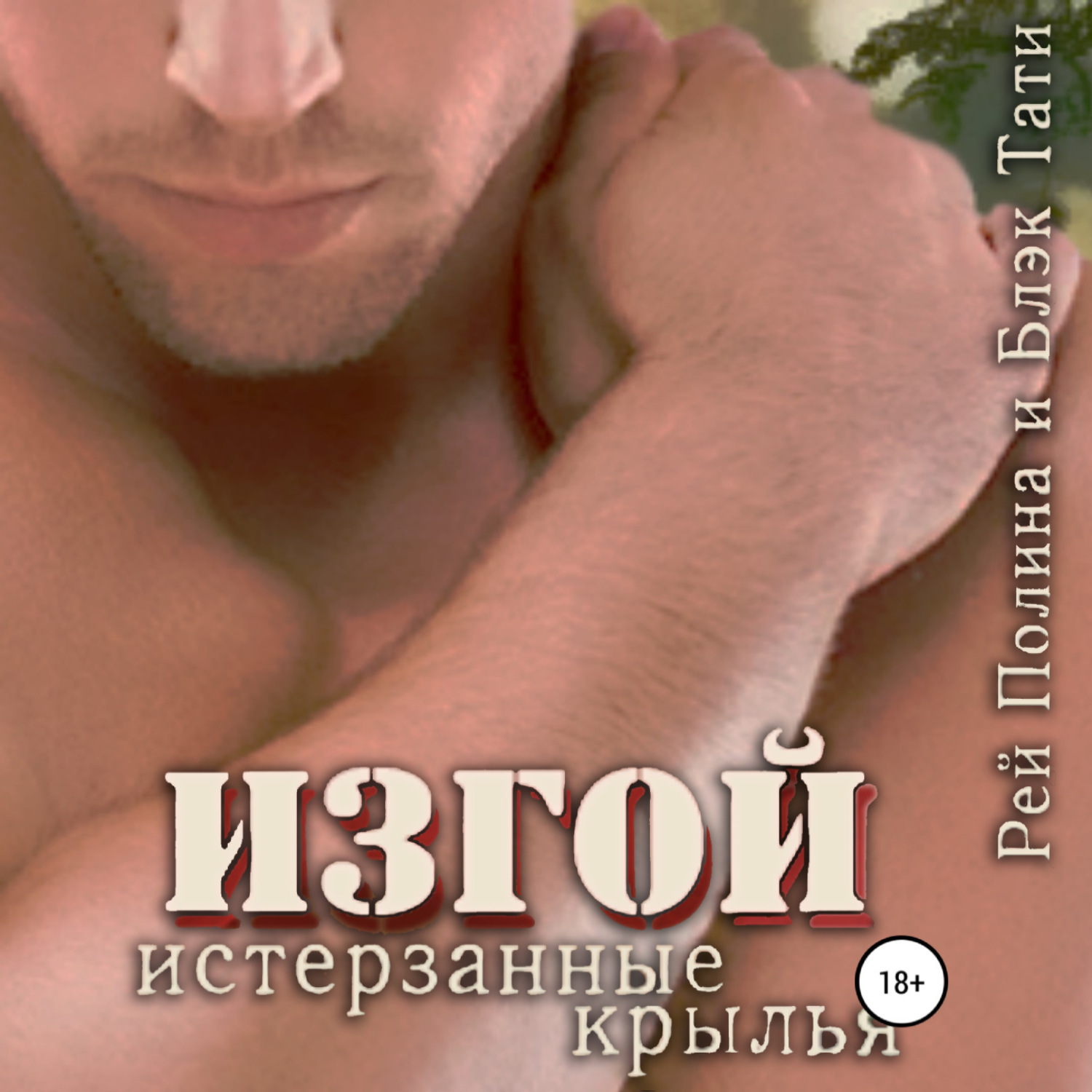 Обложка книги «Изгой. Истерзанные крылья»