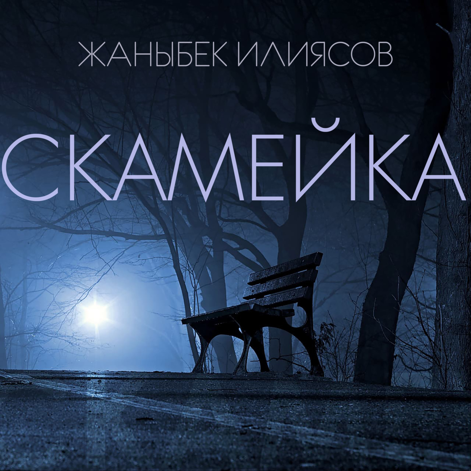 Обложка книги «Скамейка»