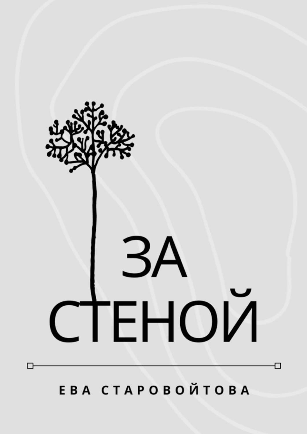 Обложка книги «За стеной»
