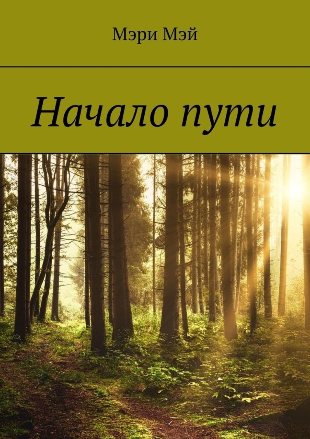 Обложка книги «Начало пути»