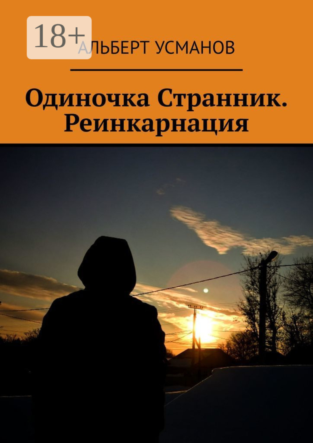 Обложка книги «Одиночка Странник. Реинкарнация»