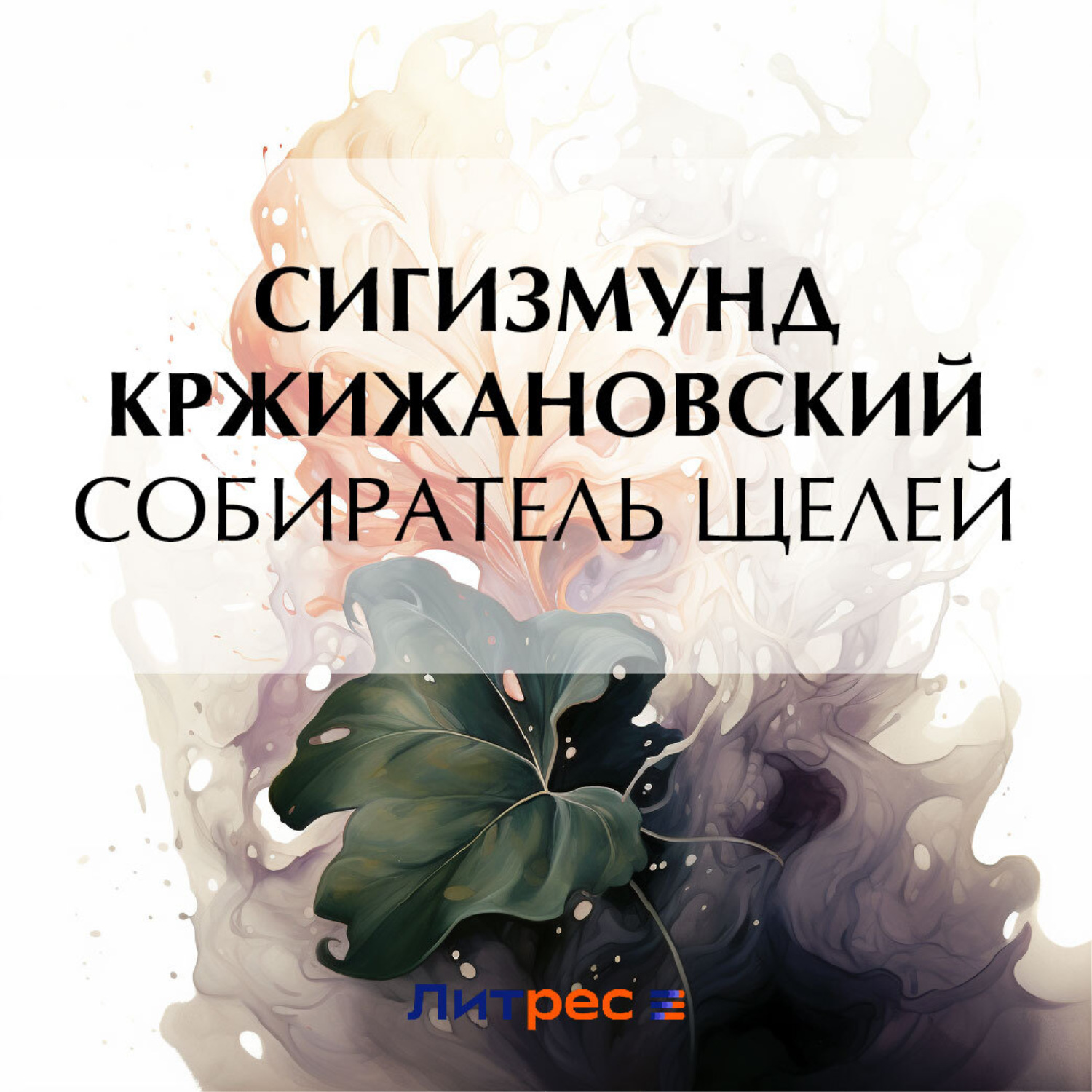 Обложка книги «Собиратель щелей»