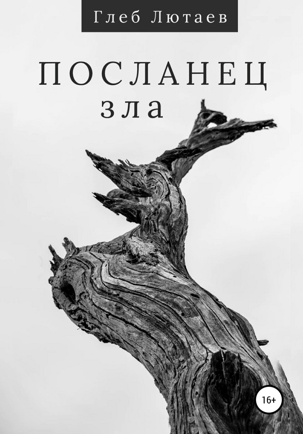 Обложка книги «Посланец Зла»