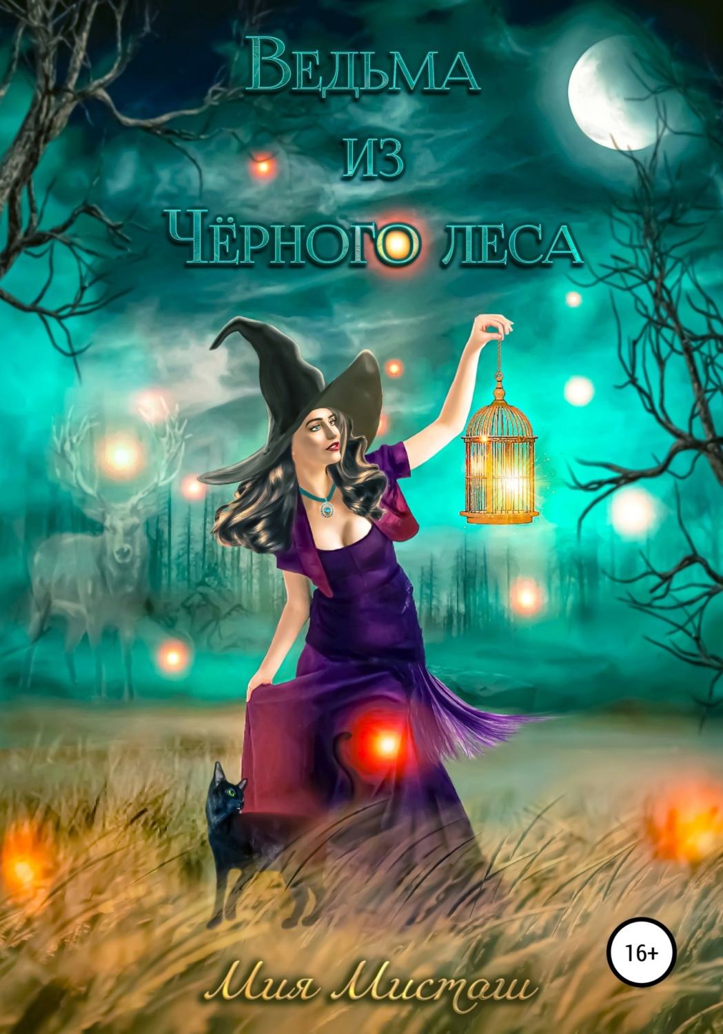 Обложка книги «Ведьма из Чёрного леса»