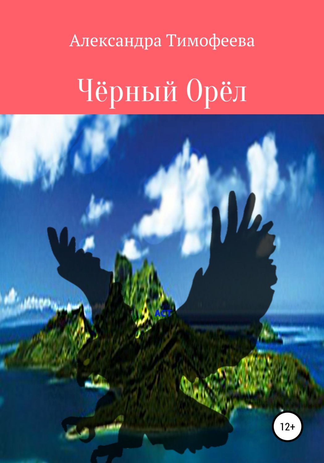 Обложка книги «Чёрный Орёл»