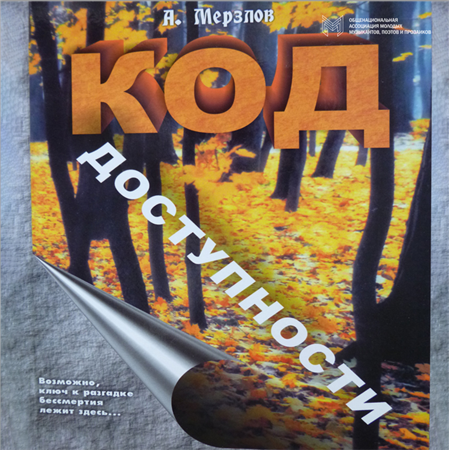 Обложка книги «Код доступности»