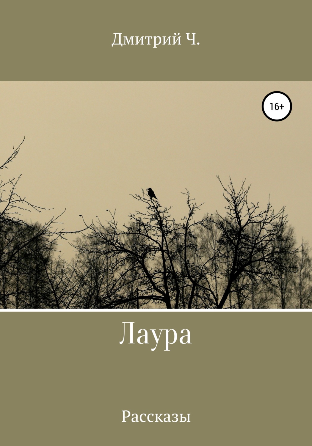 Обложка книги «Лаура»