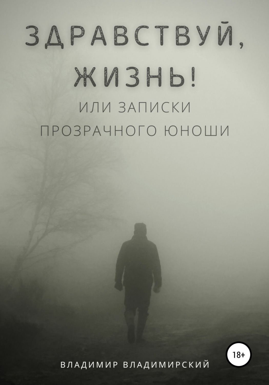 Обложка книги «Здравствуй, жизнь! или Записки прозрачного юноши»