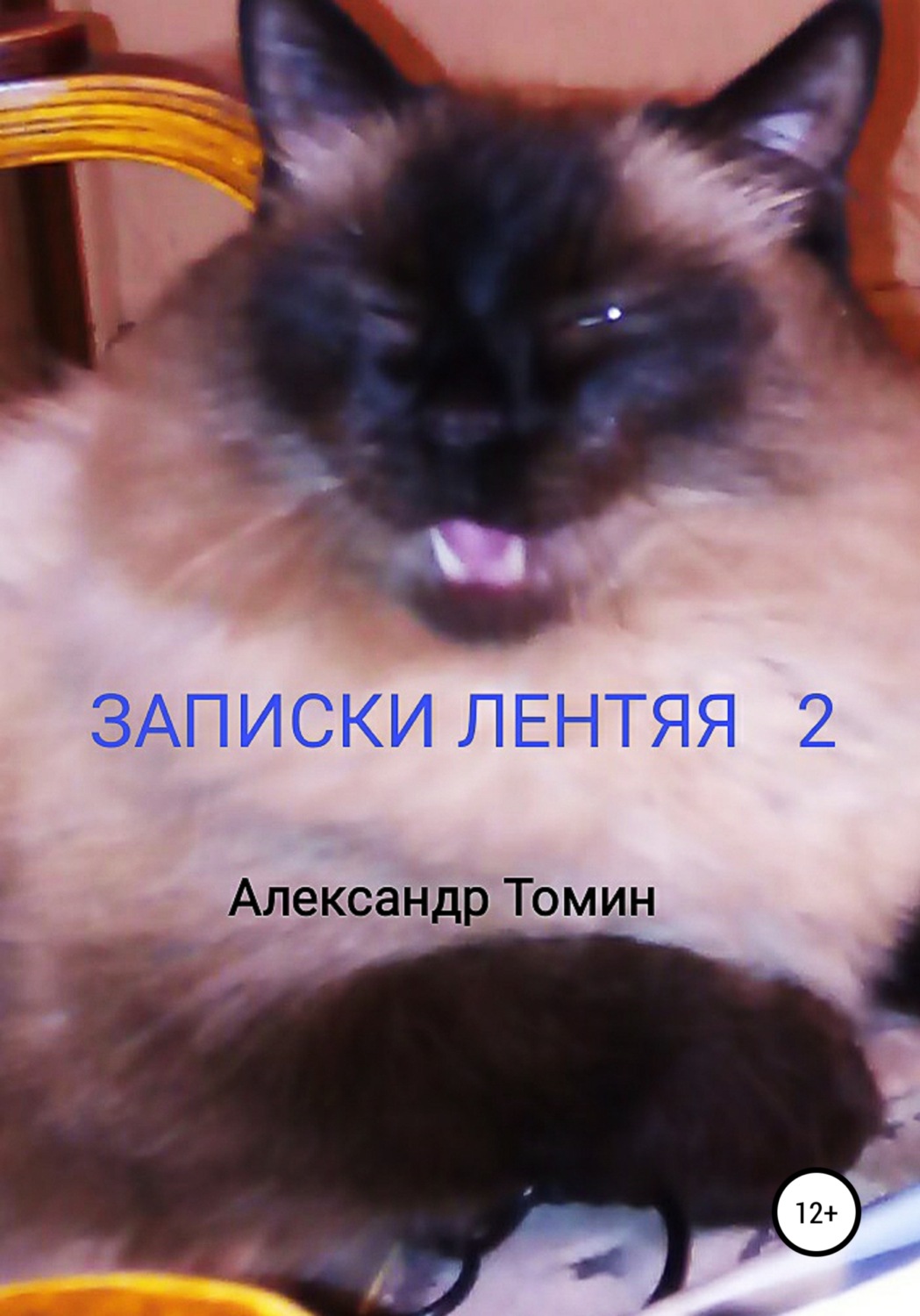 Обложка книги «Записки лентяя 2»
