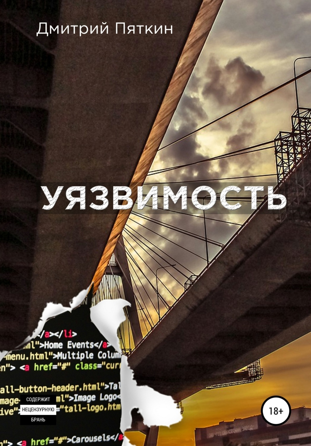 Обложка книги «Уязвимость»