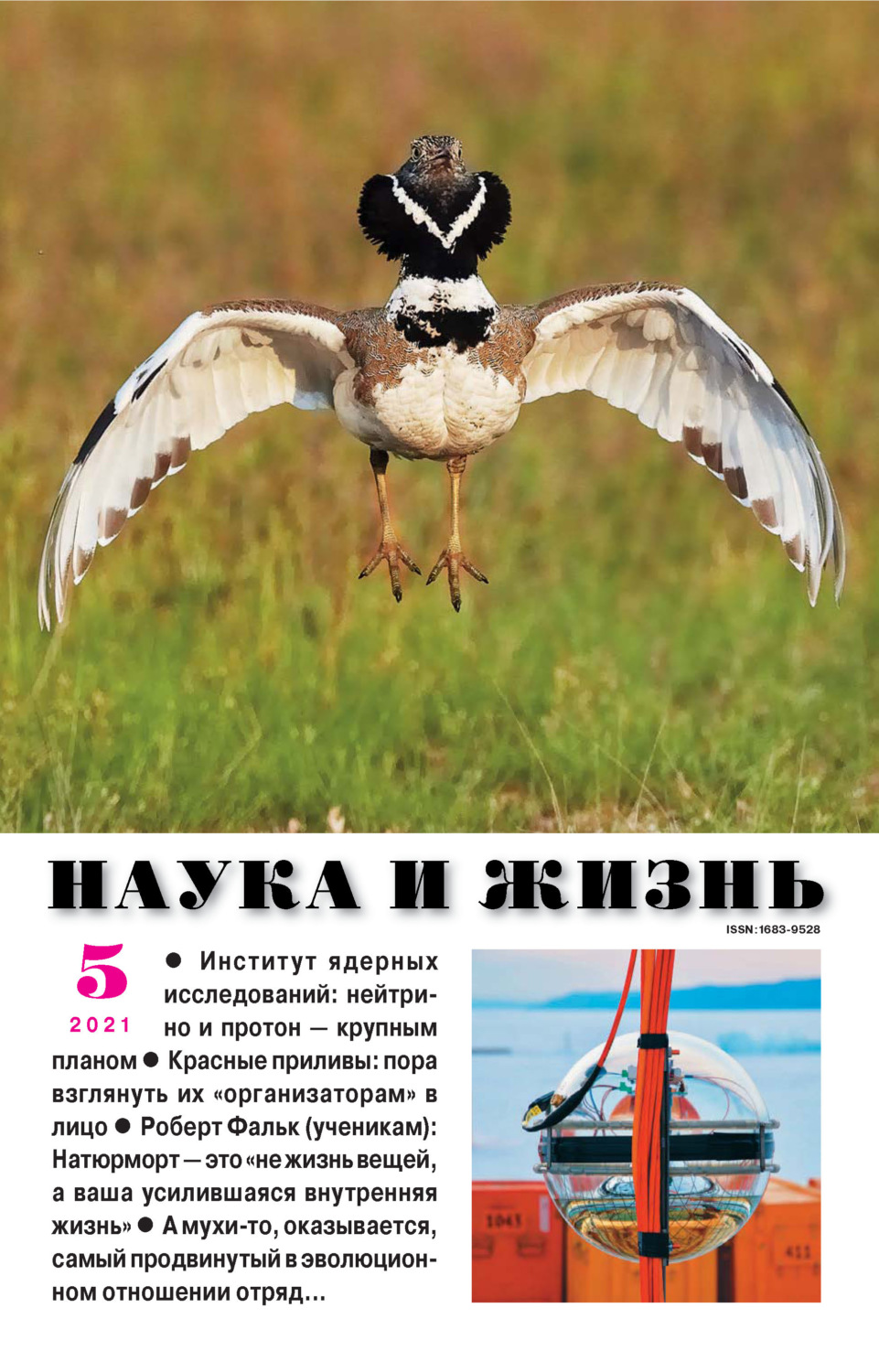 Обложка книги «Наука и жизнь №05/2021»