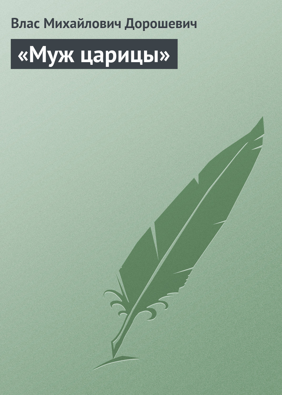 Обложка книги ««Муж царицы»»