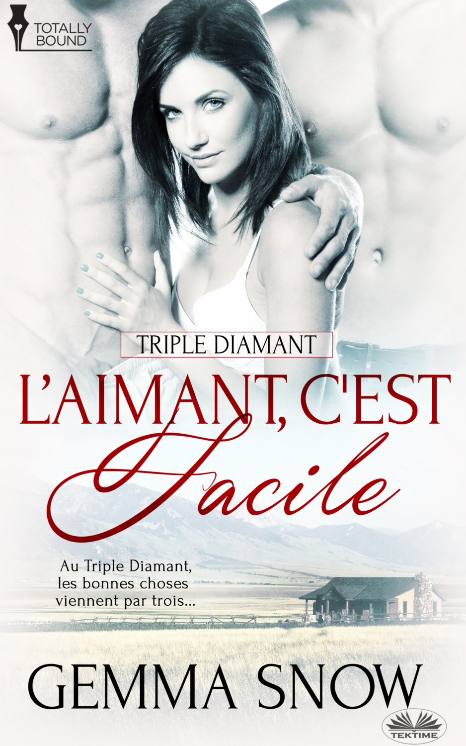 Обложка книги «L’Aimant, C'Est Facile»
