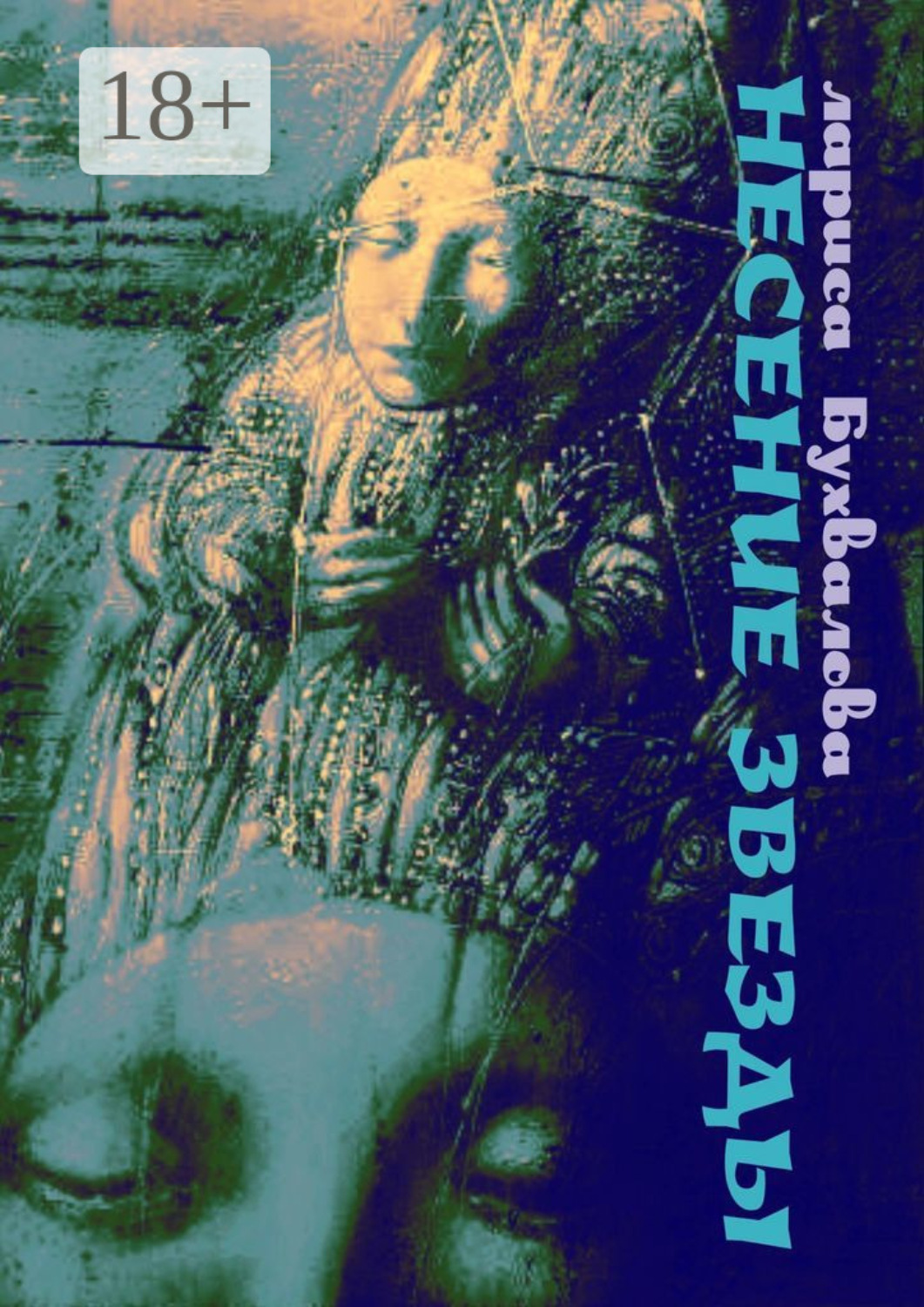 Обложка книги «Несение звезды»