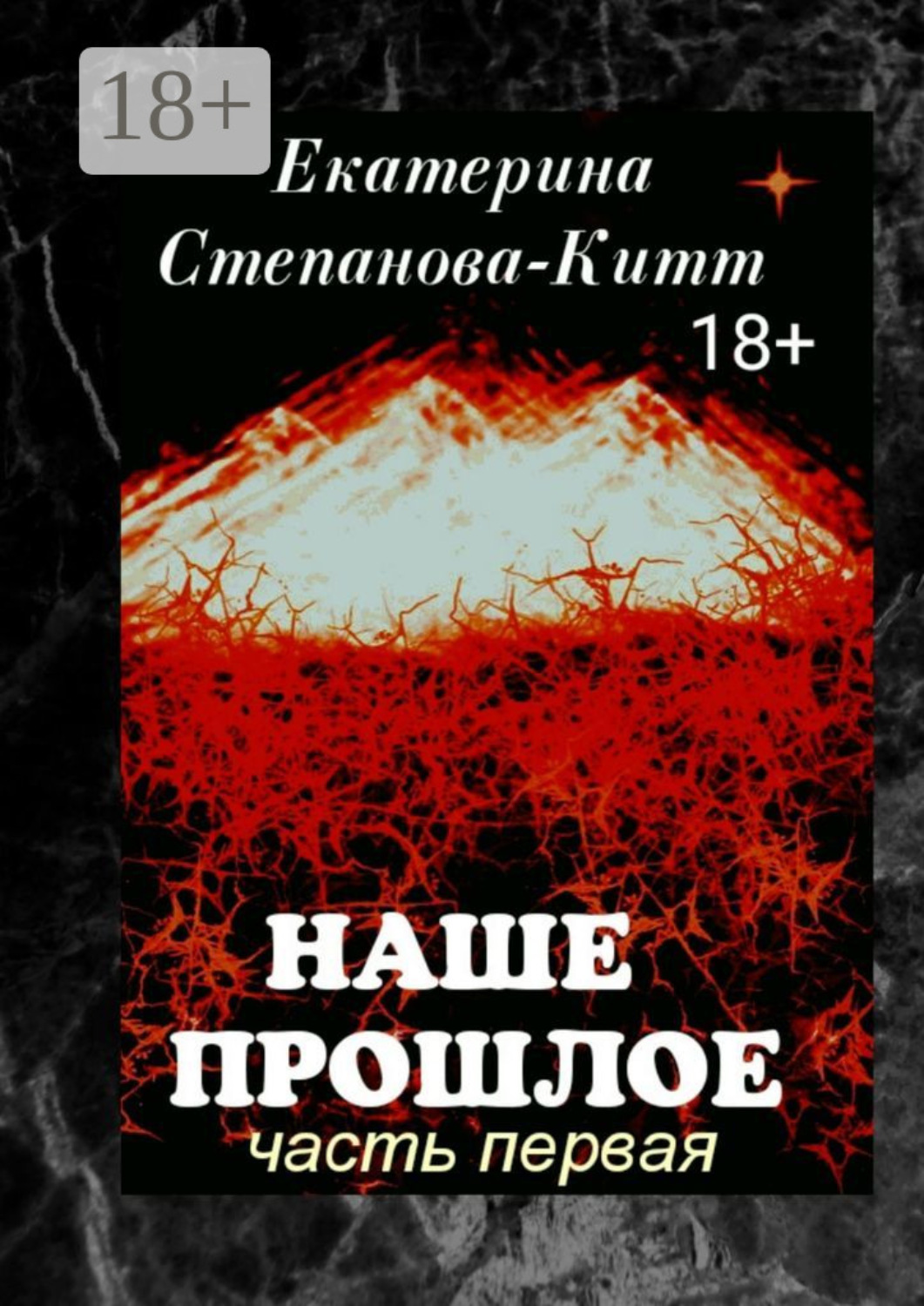 Обложка книги «Наше прошлое. Часть первая»