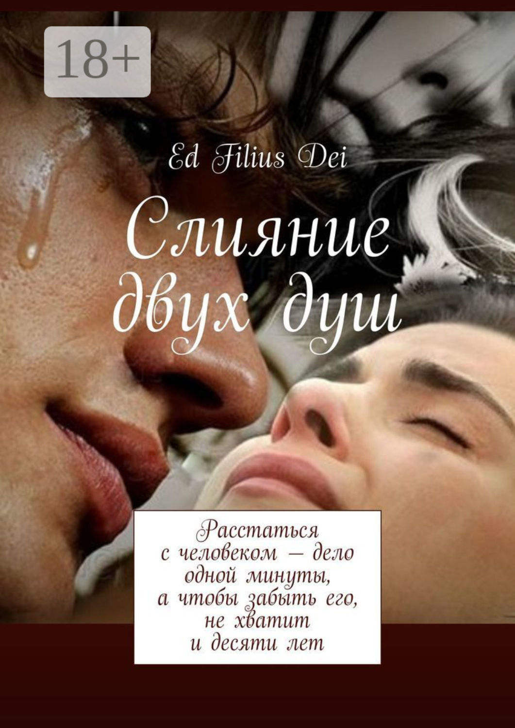 Обложка книги «Слияние двух душ»