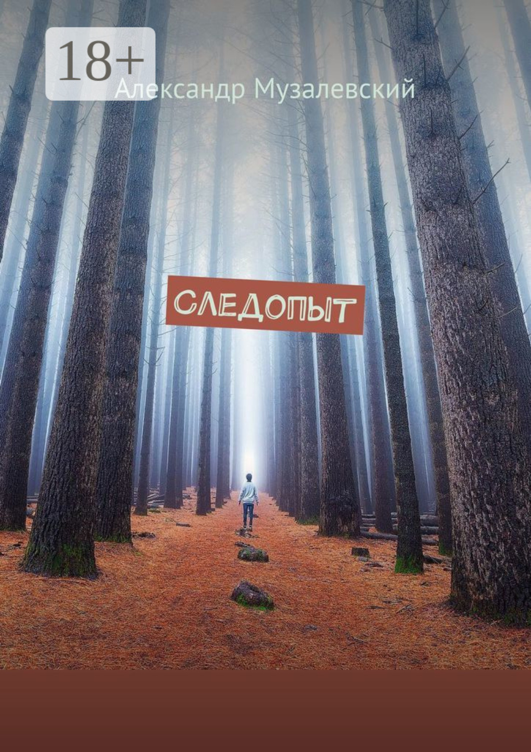 Обложка книги «Следопыт»