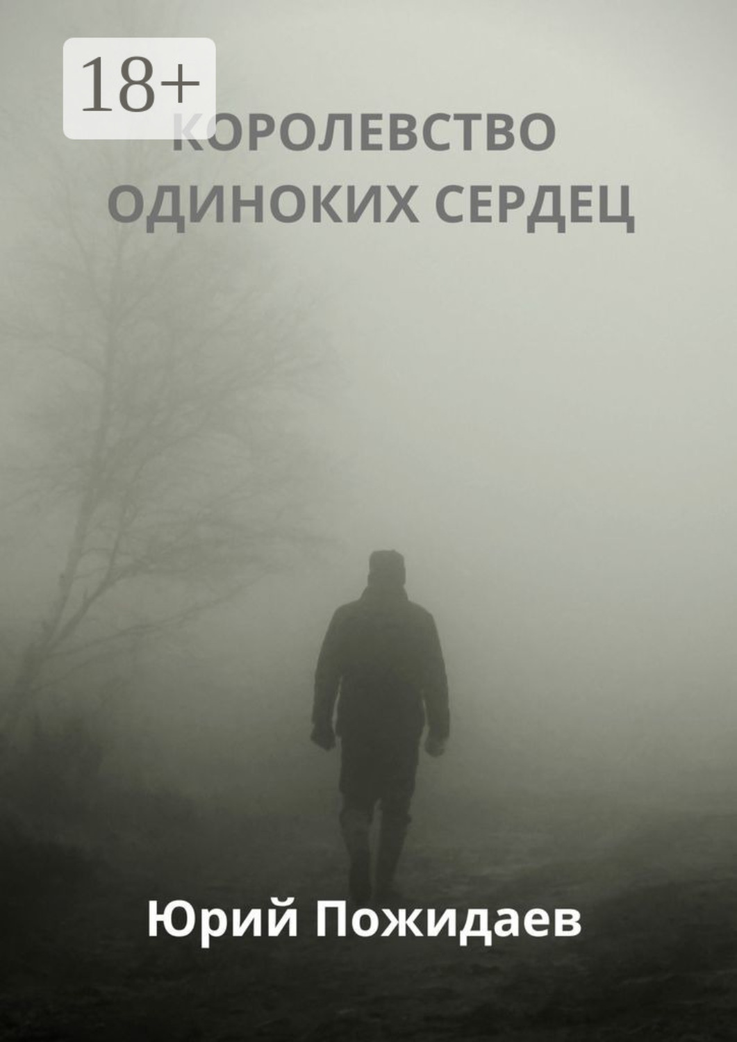 Обложка книги «Королевство одиноких сердец»