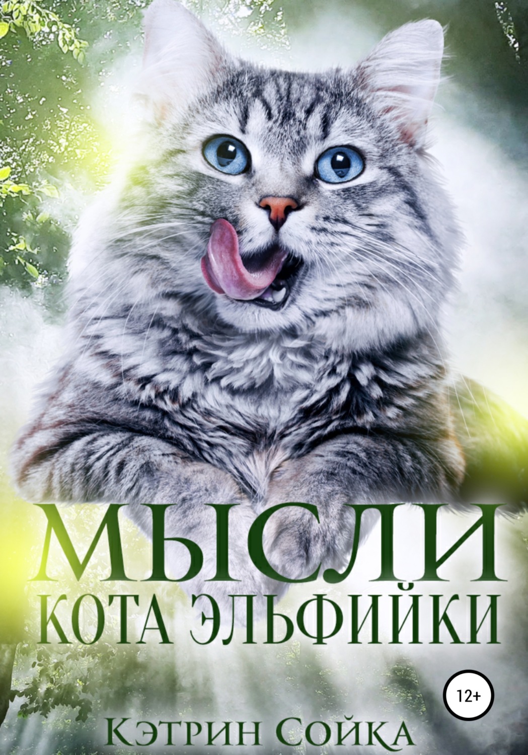 Обложка книги «Мысли кота эльфийки»