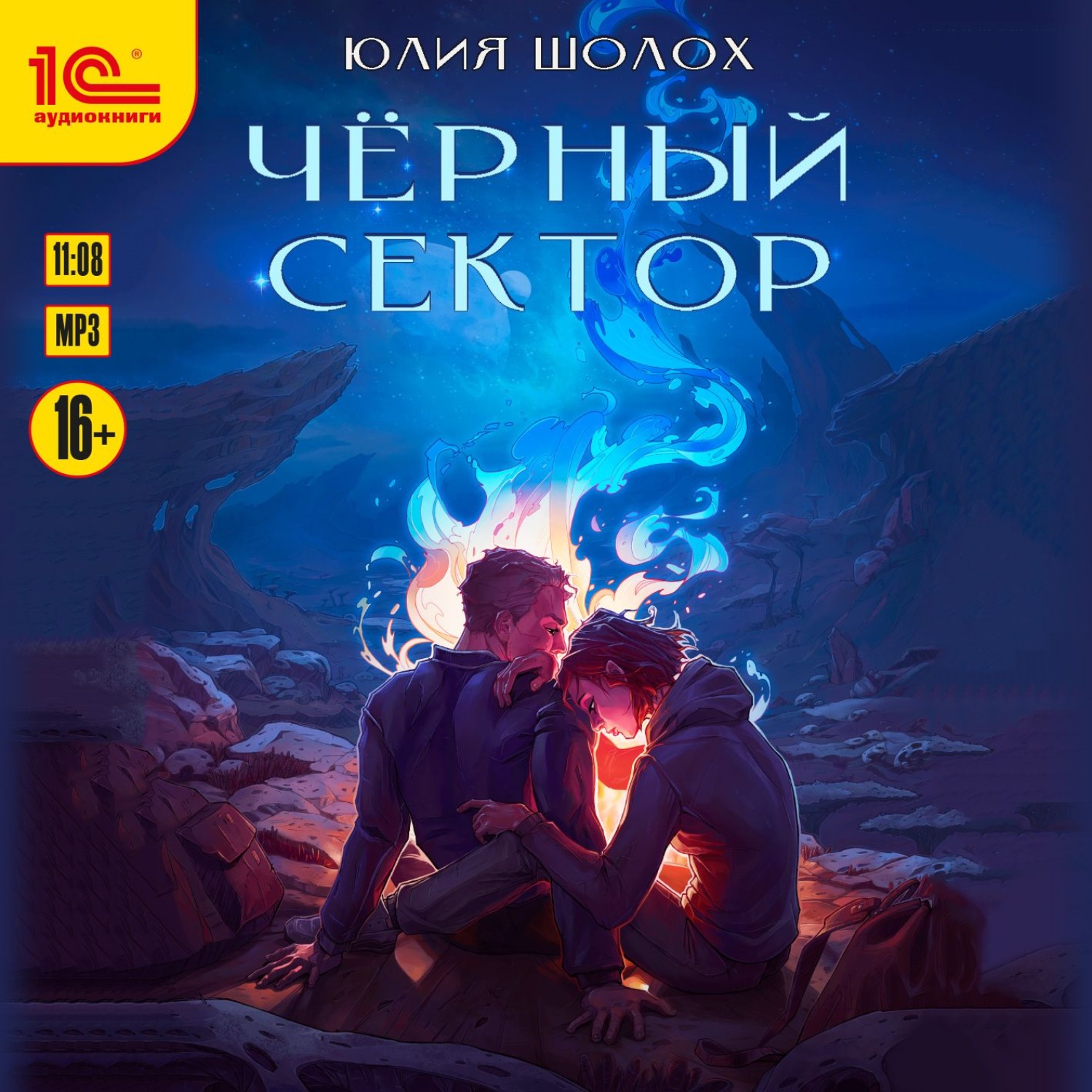 Обложка книги «Чёрный сектор»