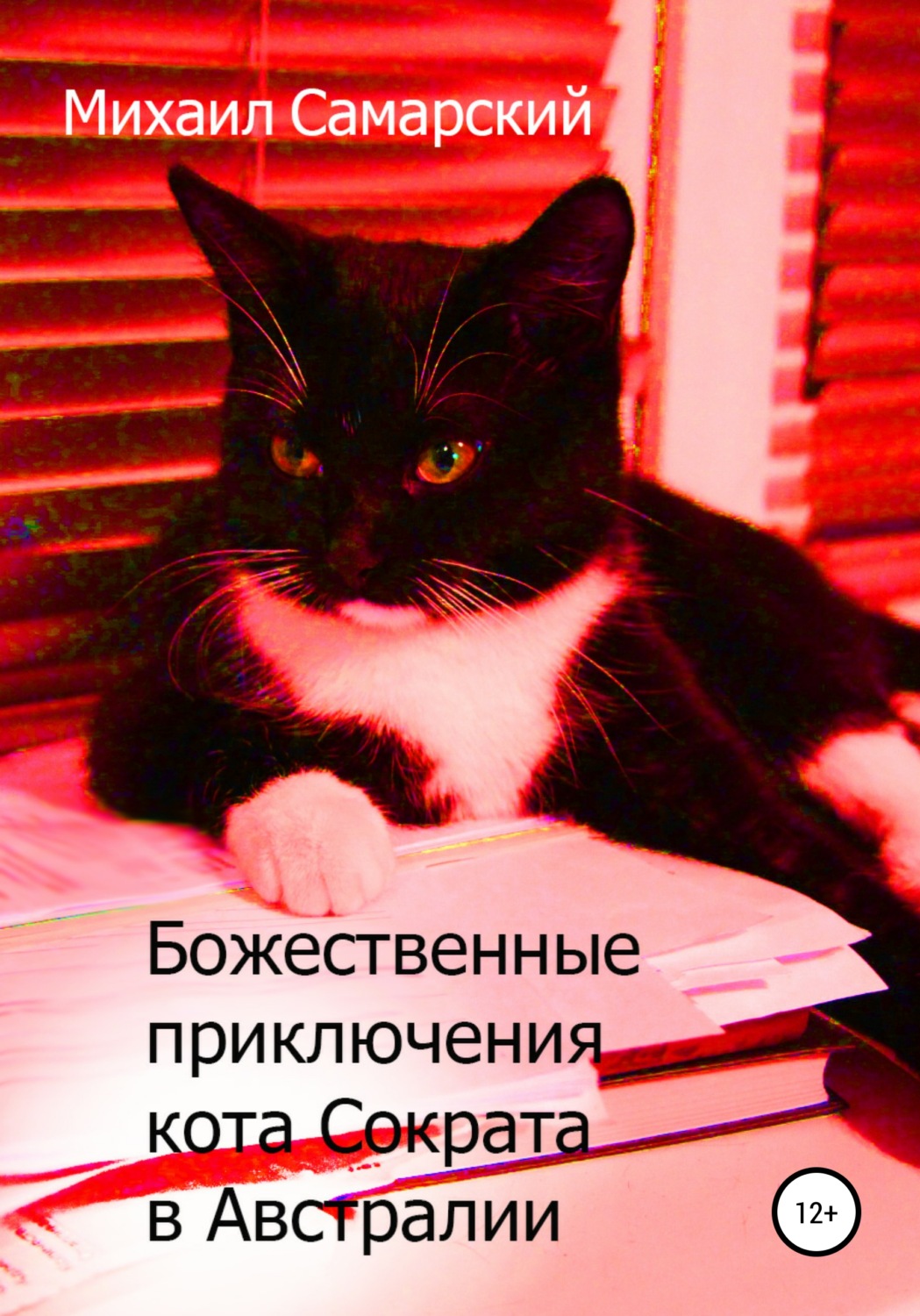 Обложка книги «Божественные приключения кота Сократа в Австралии»
