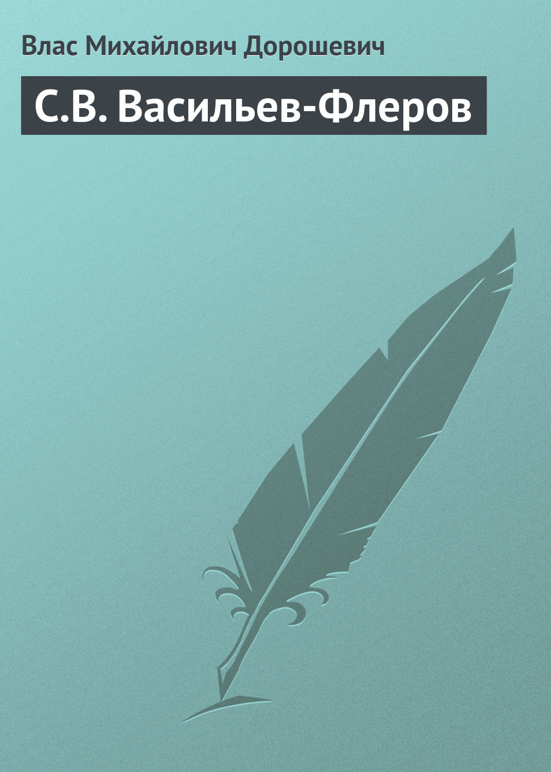 Обложка книги «С.В. Васильев-Флеров»