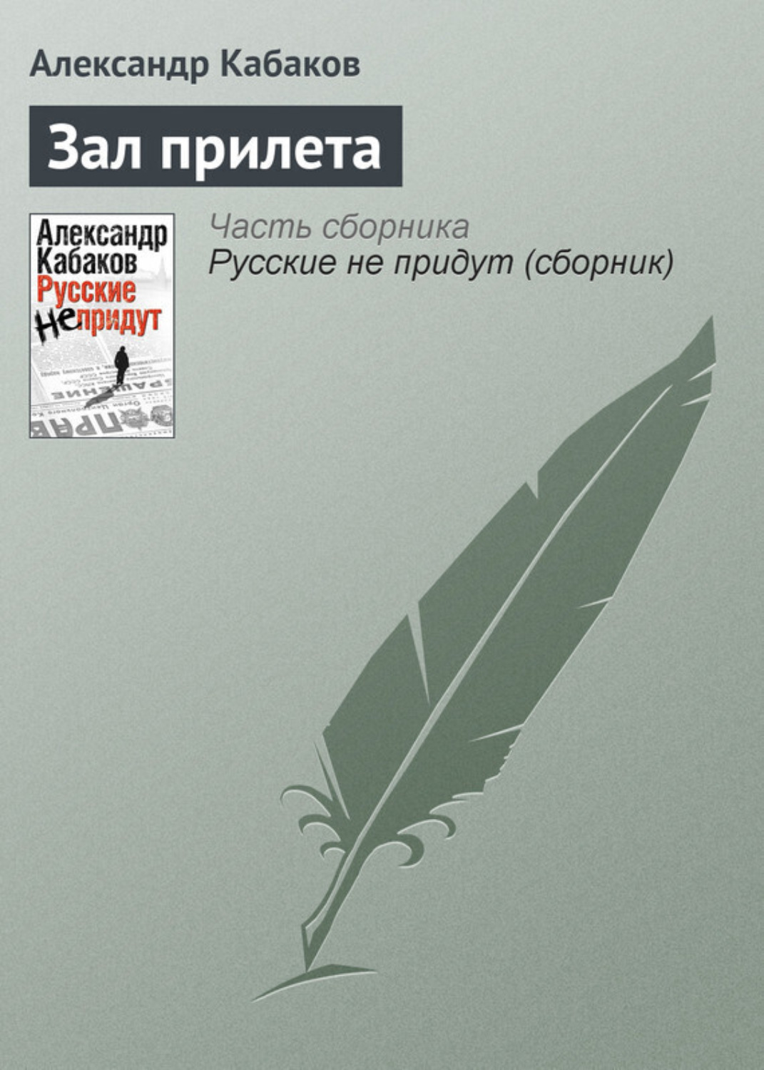 Обложка книги «Зал прилета»