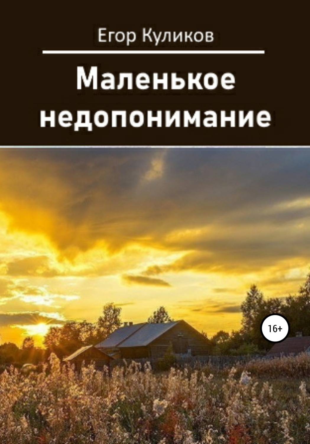 Обложка книги «Маленькое недопонимание»