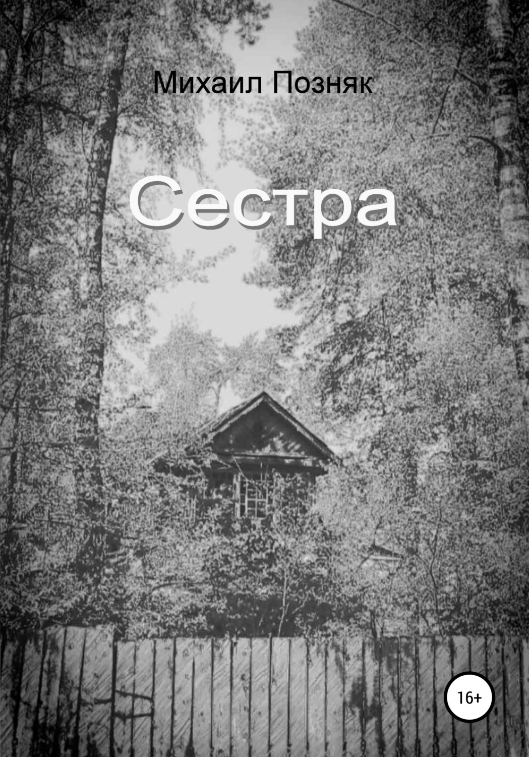 Обложка книги «Сестра»