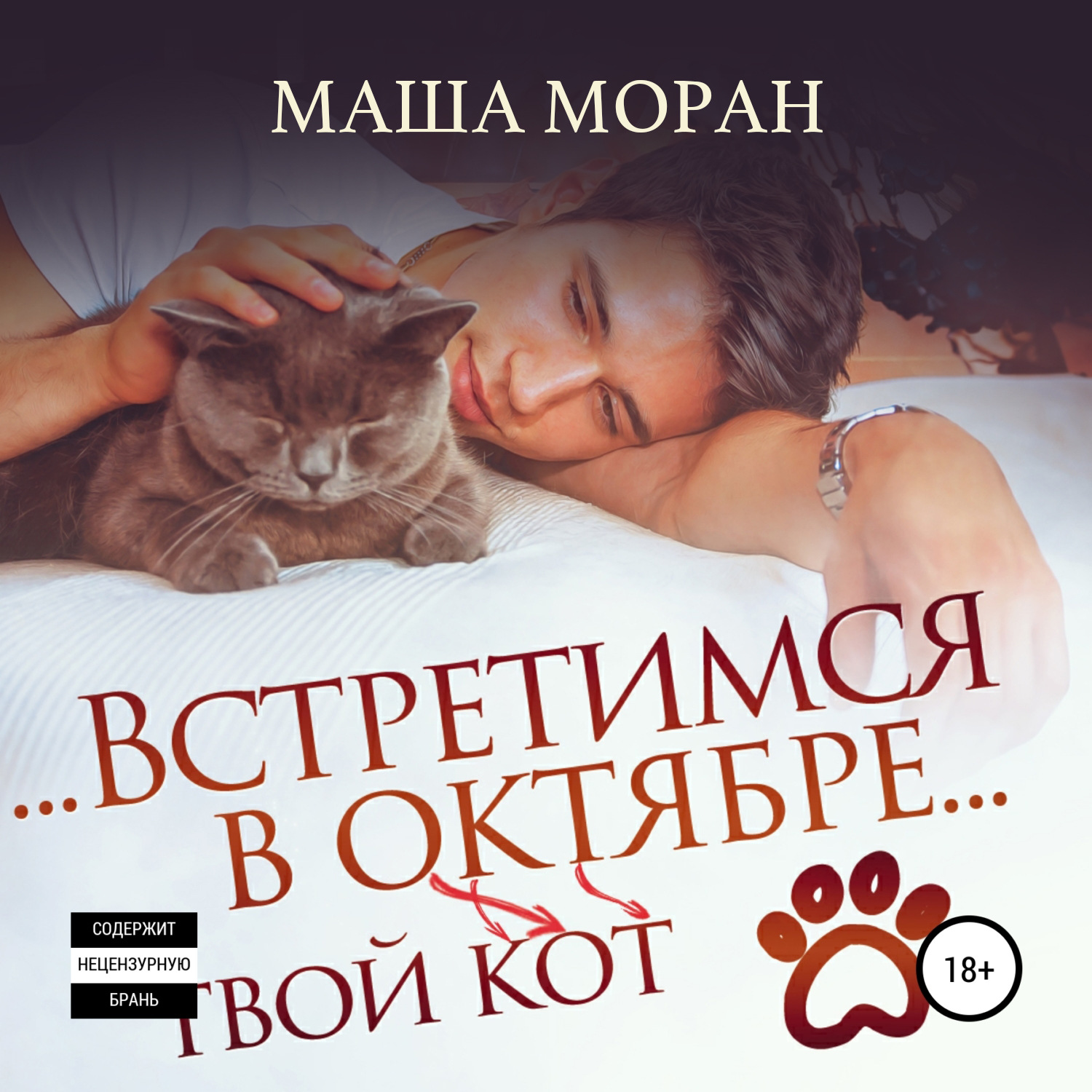 Обложка книги «Встретимся в октябре. Твой кот»