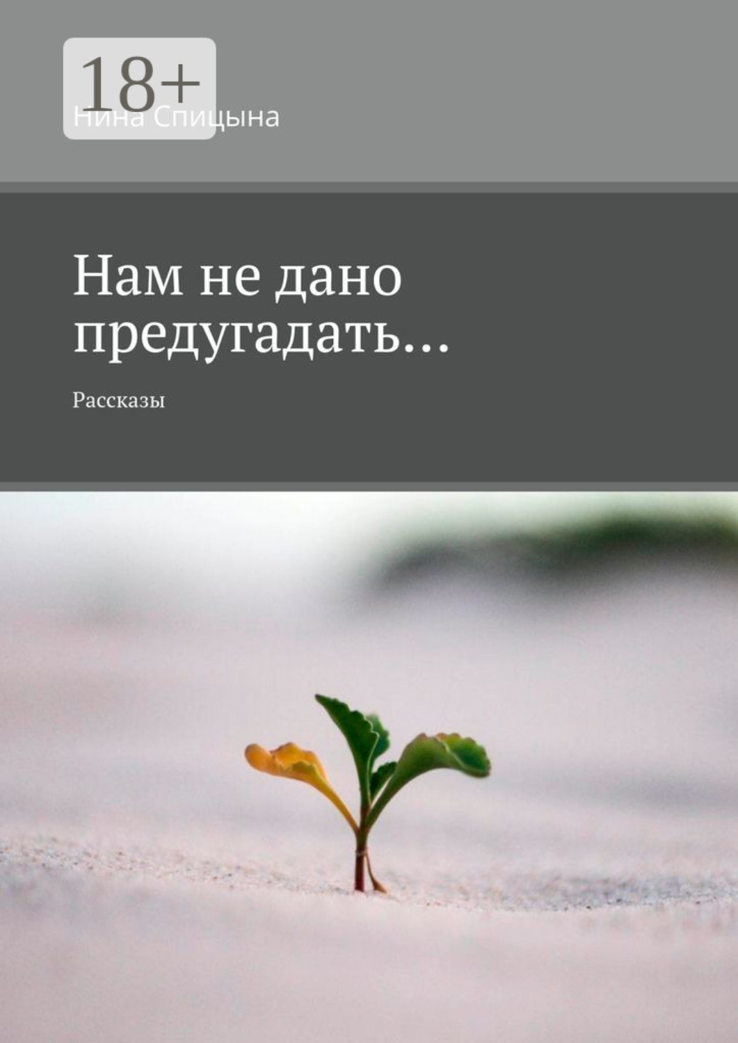 Обложка книги «Нам не дано предугадать… Рассказы»