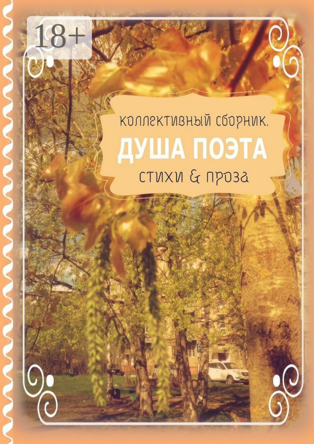 Обложка книги «Душа поэта. Стихи & проза»