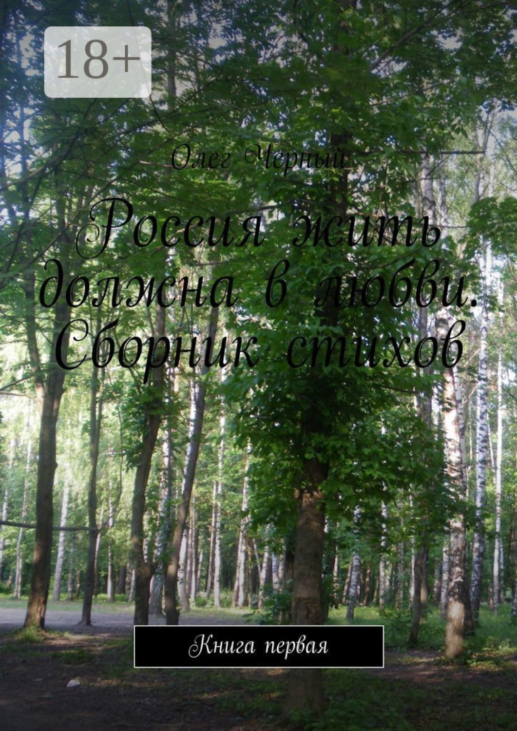 Обложка книги «Россия жить должна в любви. Сборник стихов. Книга первая»