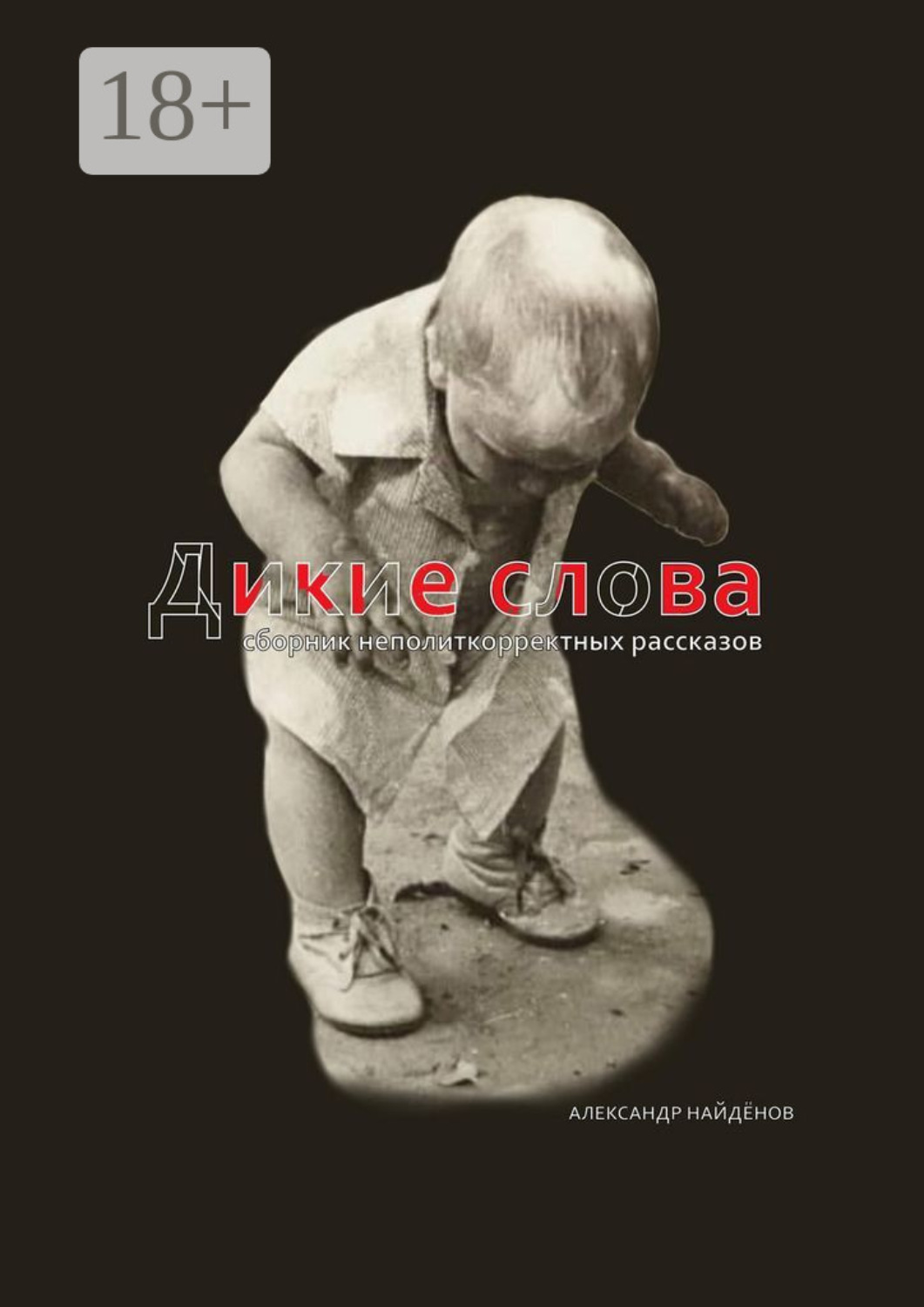 Обложка книги «Дикие слова. Сборник неполиткорректных рассказов»