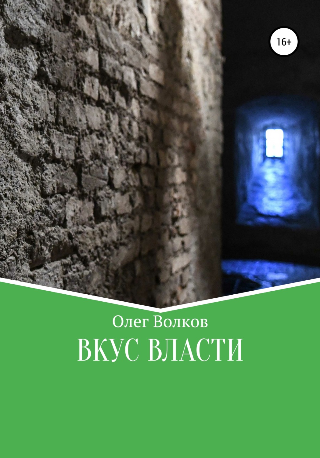 Обложка книги «Вкус власти»