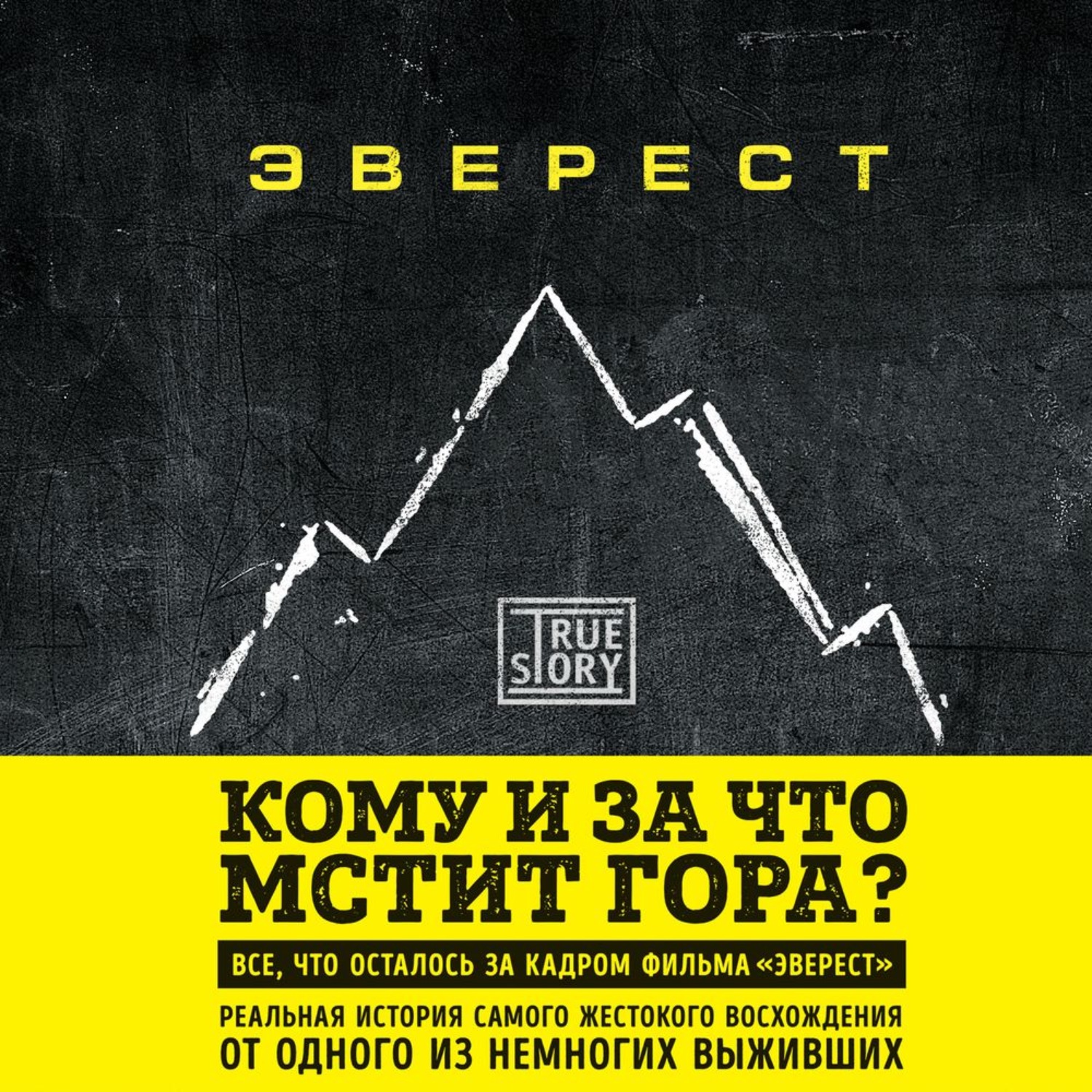 Обложка книги «Эверест. Кому и за что мстит гора?»