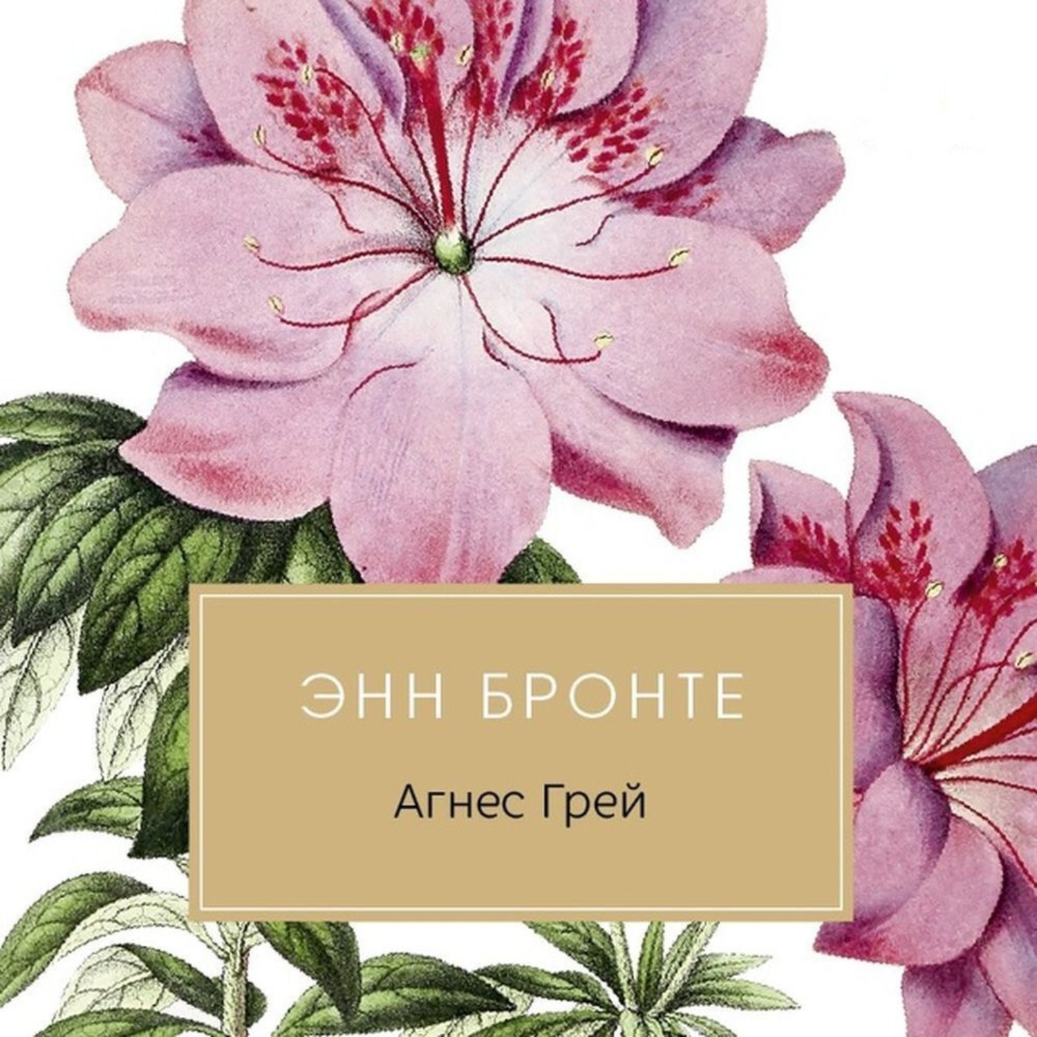 Обложка книги «Агнес Грей»